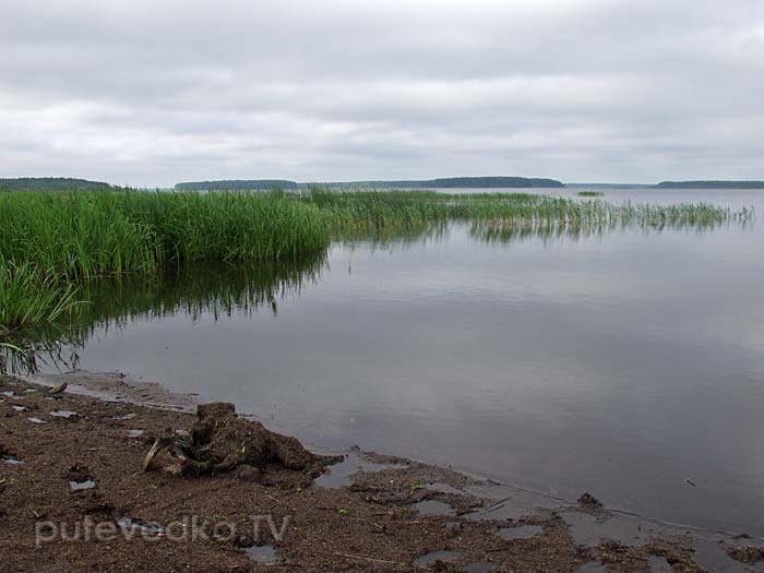 ���������� ����.