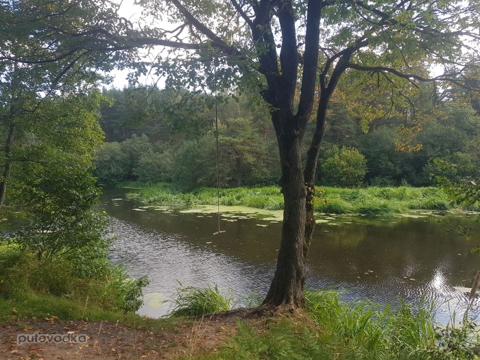 �������� 2025. �������� �������� ����� ����. ��������� ��� ����� ������� �������* � �������.