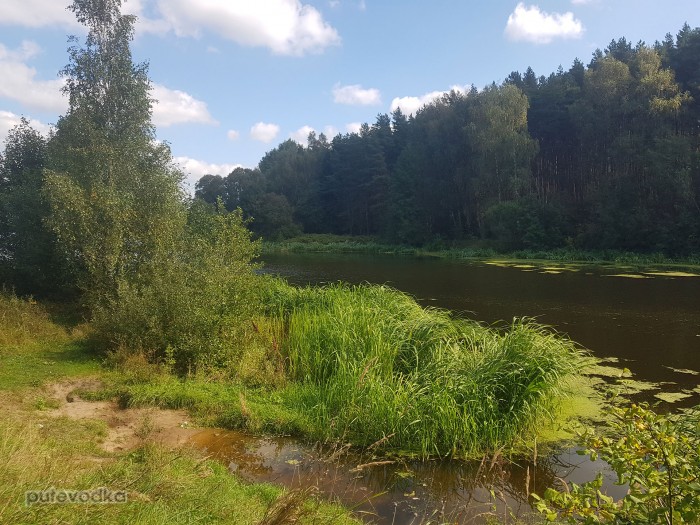 �������� 2025. �������� �������� ����� ����. ��������� ��� ����� ������� �������* � �������.