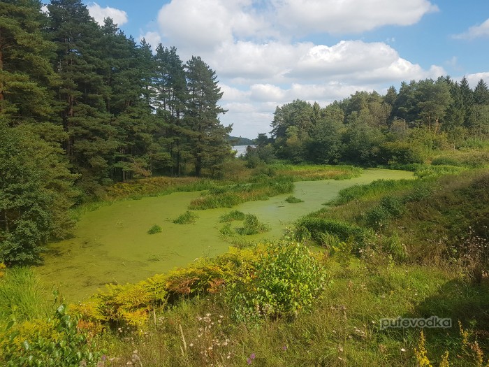 �������� 2025. �������� �������� ����� ����. ��������� ��� ����� ������� �������* � �������.