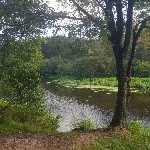 ����: �������� 2025. �������� �������� ����� ����. ��������� ��� ����� ������� �������* � �������.