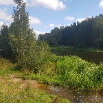 ����: �������� 2025. �������� �������� ����� ����. ��������� ��� ����� ������� �������* � �������.