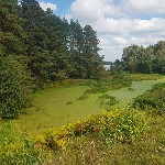 ����: �������� 2025. �������� �������� ����� ����. ��������� ��� ����� ������� �������* � �������.